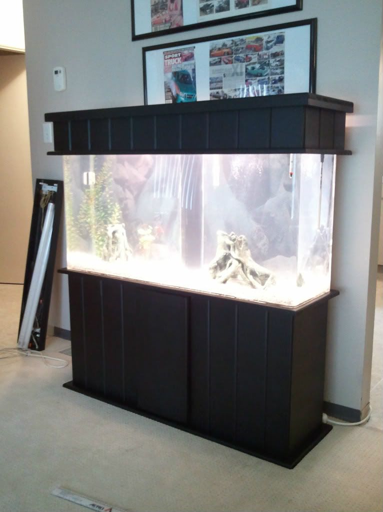 Built my own aquarium hood for my 65 gallon