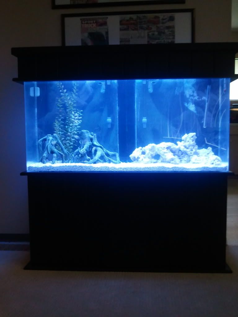 Built my own aquarium hood for my 65 gallon