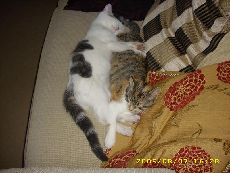 BooandPrincesssleeping.jpg