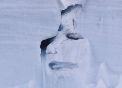 Lice u ledu