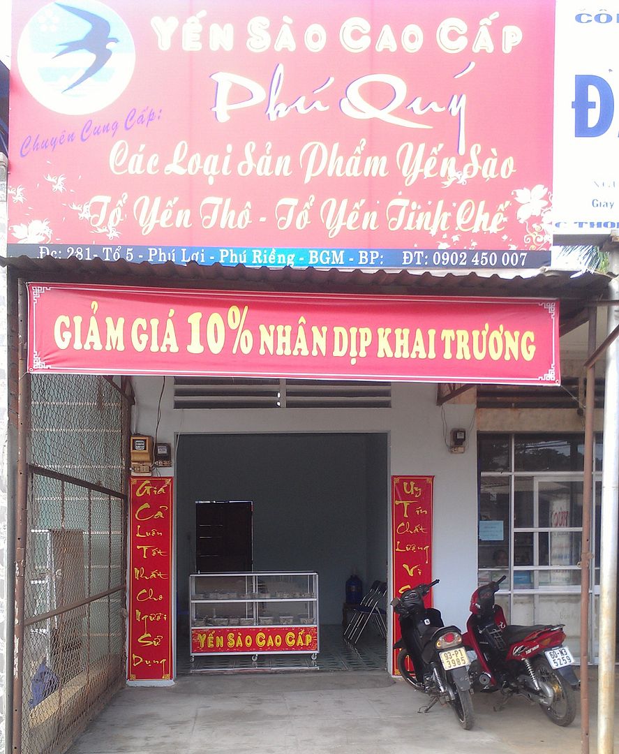 Yến sào Phú Quý- Tổ yến thô- Tổ yến tinh chế- Giảm giá đặc biệt-  Free ship. - 6