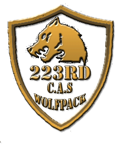 223rd_Gold_400_zps1e1394e7.png