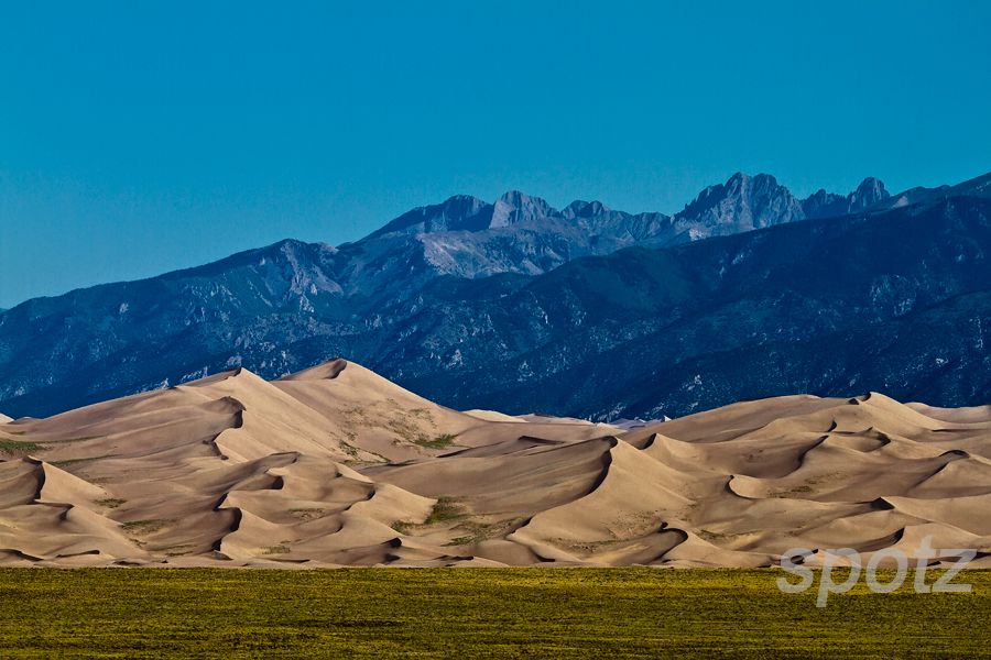 IMAGE: http://i789.photobucket.com/albums/yy173/go_pics/8507-GSD_zpsf034cf1c.jpg