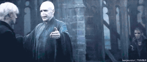1310851293745.gif?t=1310910408