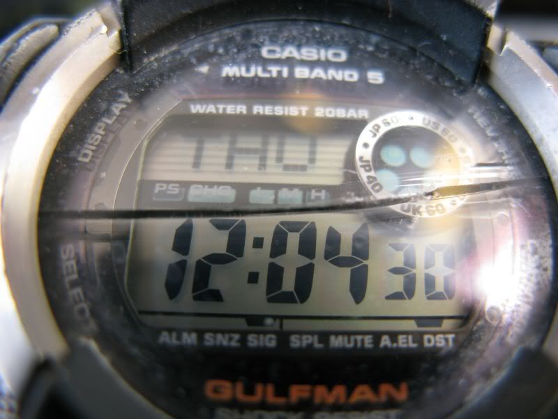 What watches do divers really wear? The Dive Watch Connection