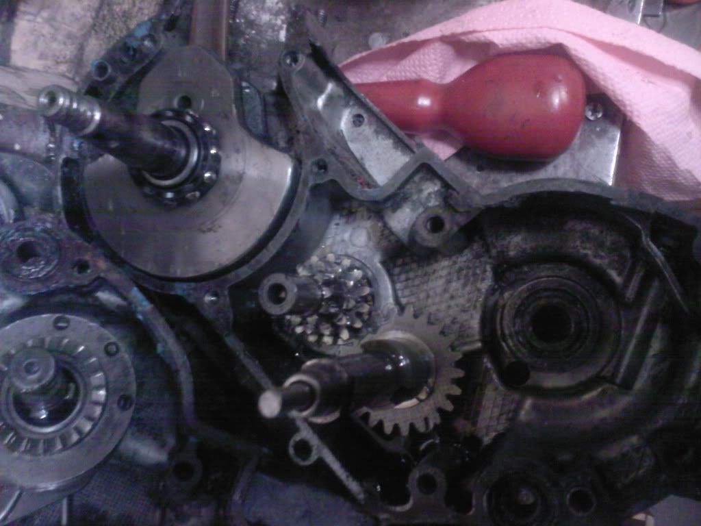 Bild