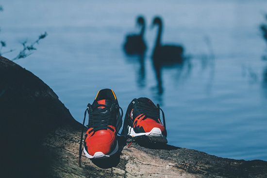  photo Highs-and-Lows-Le-Coq-Sportif-Swan-Pack-6_zpsf8142692.jpg