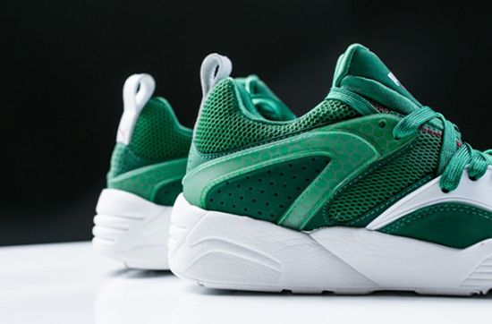  photo puma-green-box-pack-9-565x372_zps5f1a67b5.jpg