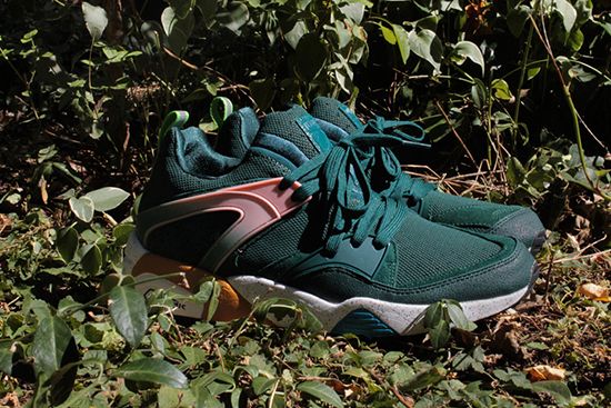  photo size-puma-wilderness-pack-part-2-blaze-of-glory_zps0b72db5e.jpg