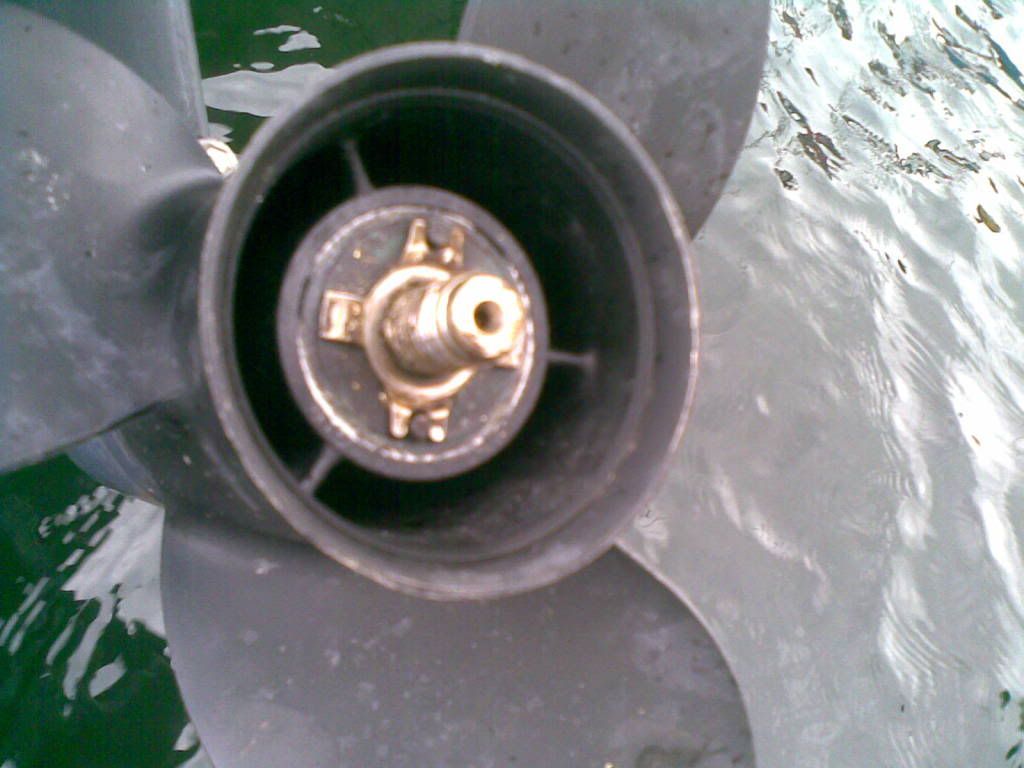 15072010002.jpg
