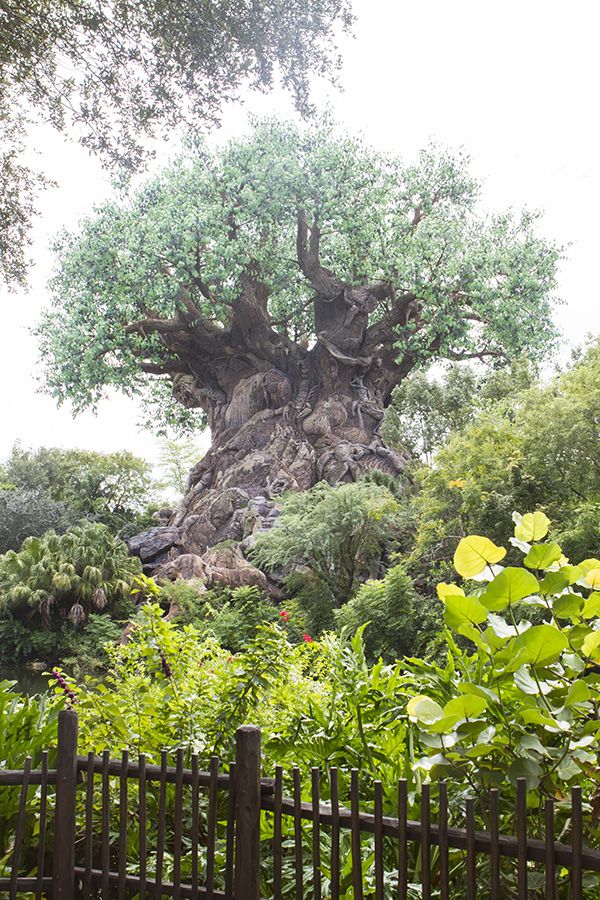 Sep2012_DisneyWorld_7058_blog.jpg
