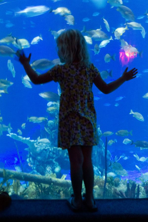 Sep2012_DisneyWorld_7985_blog.jpg