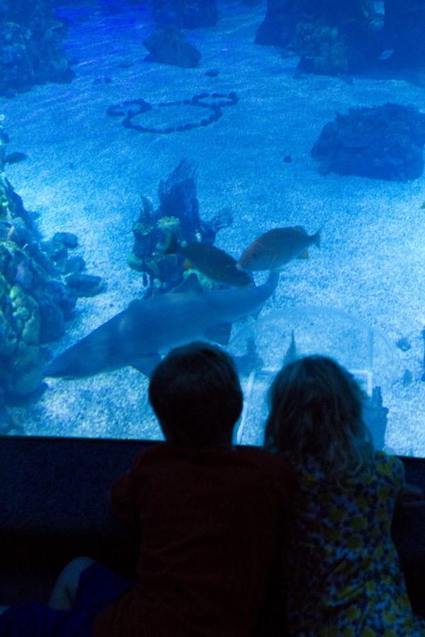 Sep2012_DisneyWorld_7985_blog.jpg