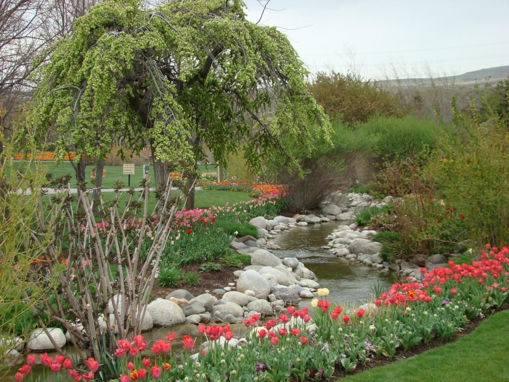  photo DSC00952_zpsd187b2d3.jpg