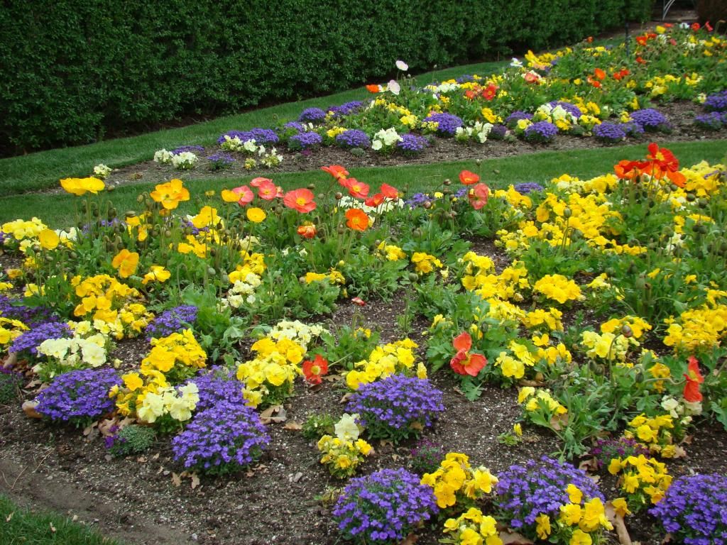  photo DSC01021_zps4a8014f8.jpg