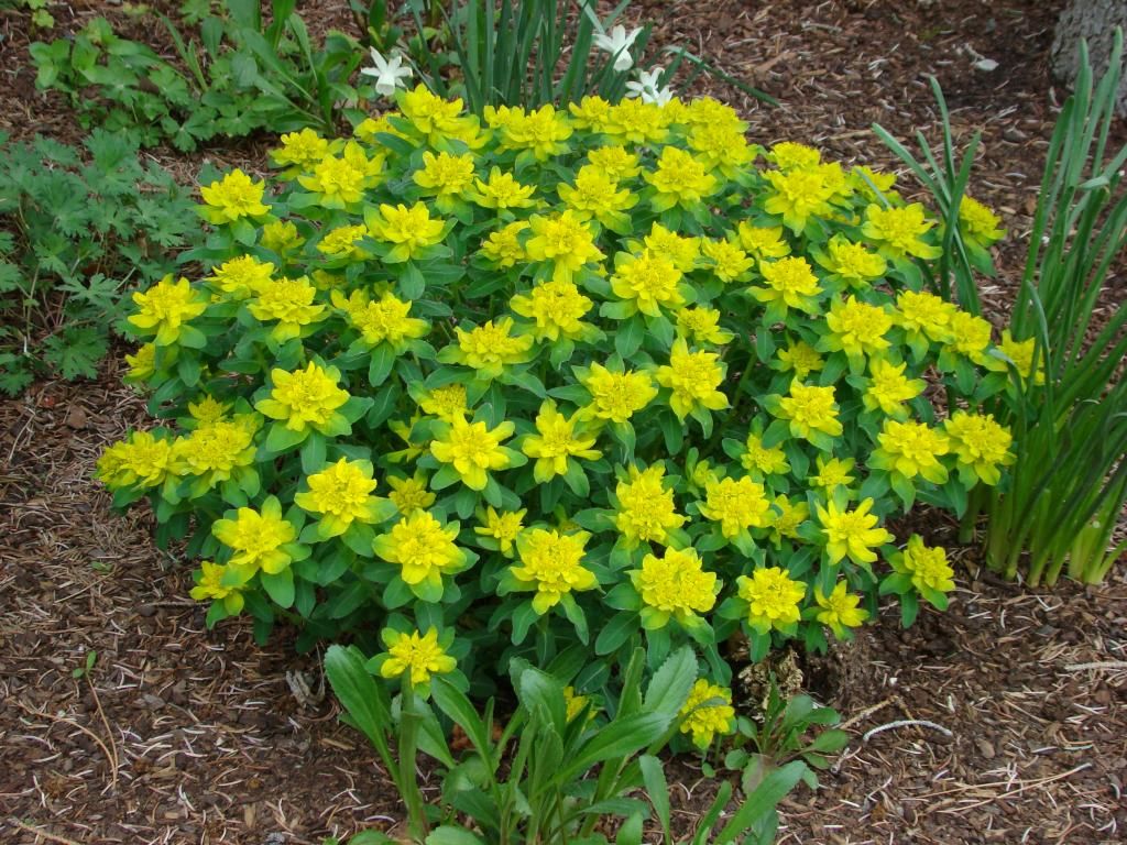  photo DSC01028_zpsdf65f29b.jpg