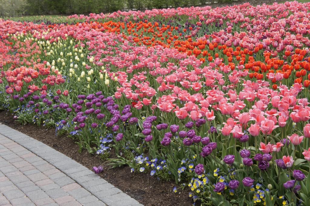  photo _DSC0979_zpsdec203c9.jpg