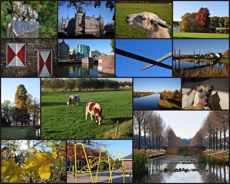 Fotografie