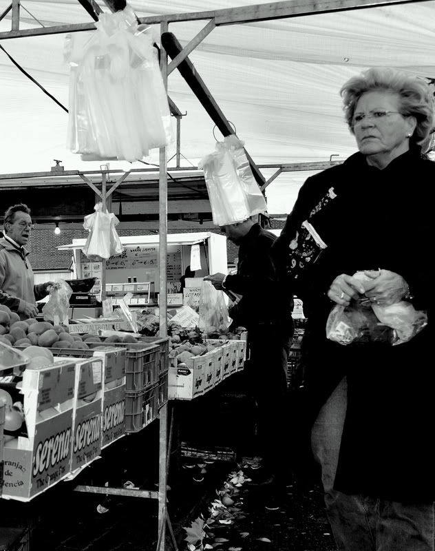 Fotografie