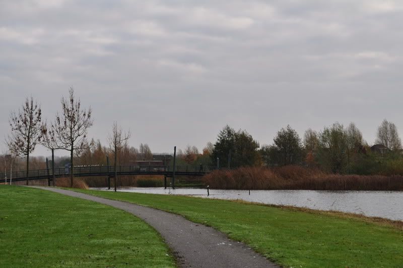Fotografie