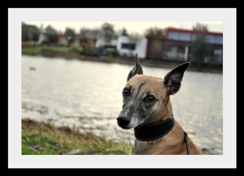 Fotografie