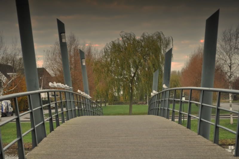 Fotografie