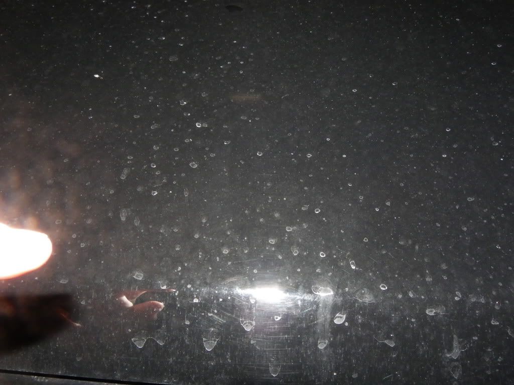 IMGP0325.jpg