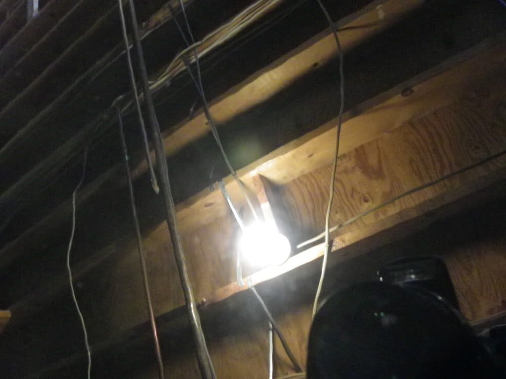 IMGP0348.jpg