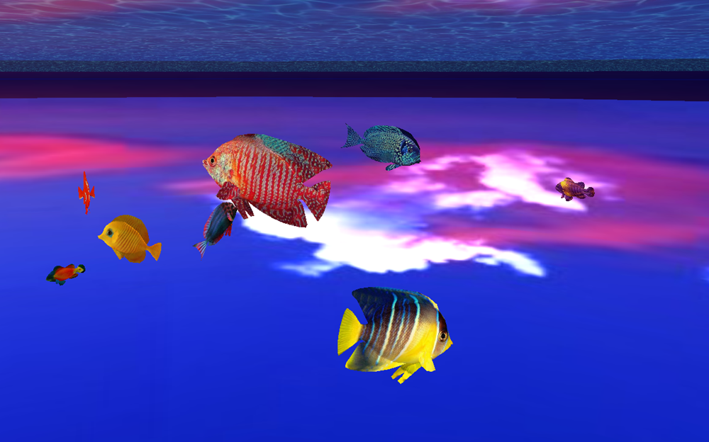  photo peces1_zpscewyqezv.png